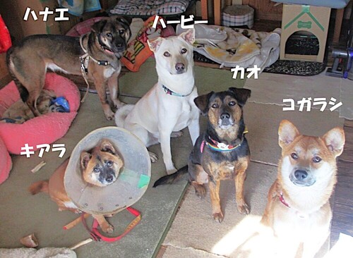 1.JPG