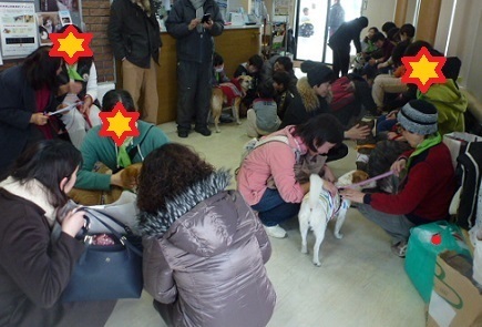 里親募集会 有難うございましたヽ O 丿 犬の合宿所 In 高槻