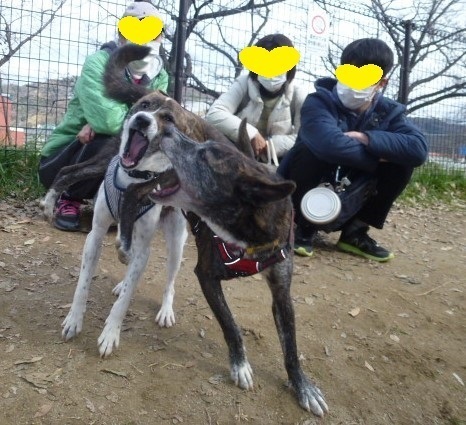 10.JPG