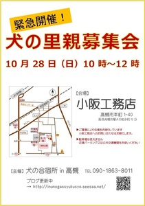 10.28チラシ改.jpg