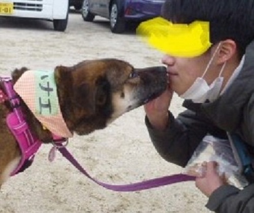 17.JPG