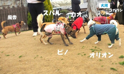 2.JPG