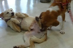 20160911_162835.jpg