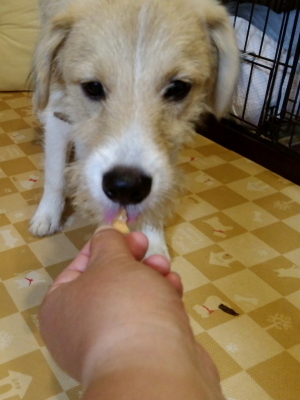 20170705_224252.jpg