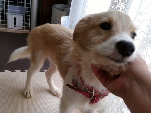 20170706_143745.jpg