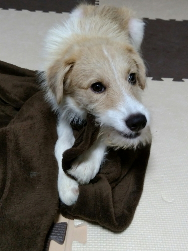 20170714_231149.jpg