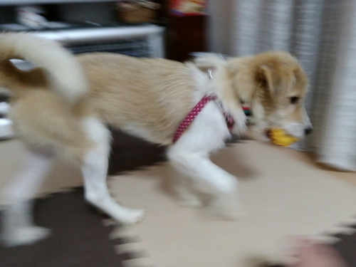 20170716_182849.jpg