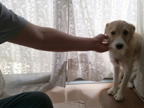 20170716_183014.jpg