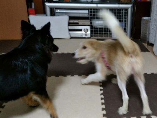 20170717_113801.jpg
