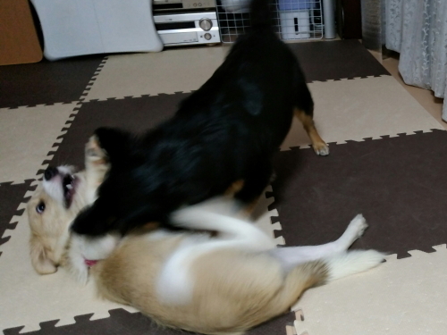 20170717_113902.jpg