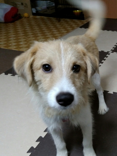 20170718_201958.jpg
