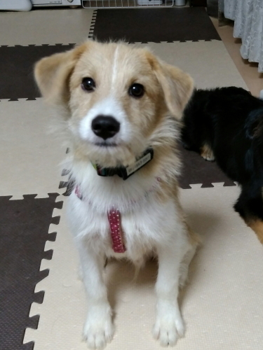 20170718_221343.jpg
