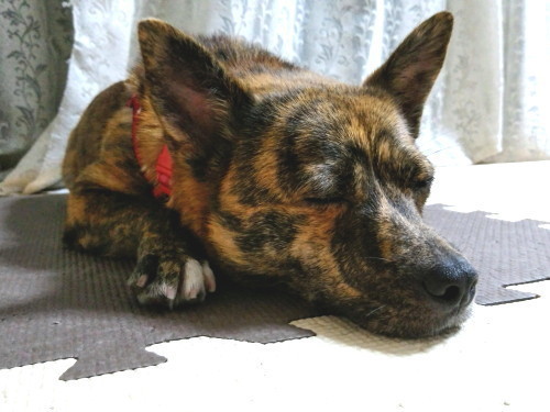 20170807_184554.jpg