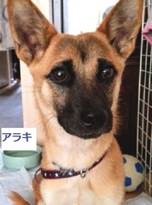 20180527_164252-1-thumbnail2_NEW.jpg