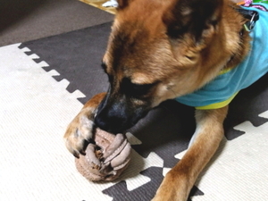 20180602_092620.jpg