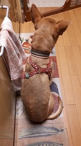 20191029_051005 - コピー.jpg