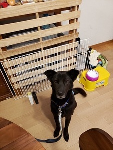 20191118_064006 - コピー.jpg