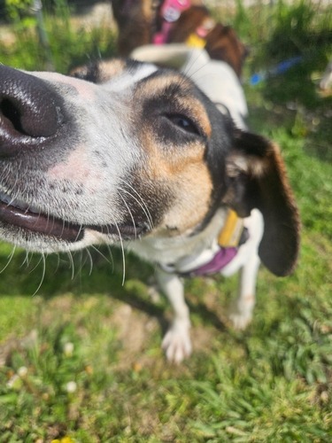 20250419_145719.jpg
