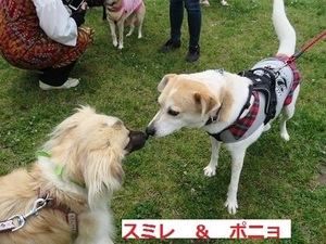 21ポニョ_NEW.jpg