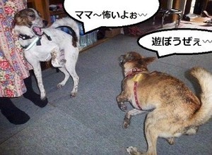 3.JPG