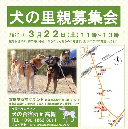 3.22富田 仮.jpg