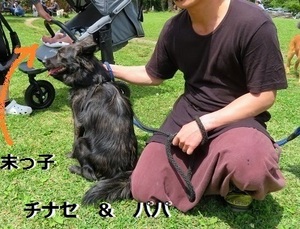 33ちなせ (6)_NEW.jpg