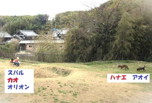 4.JPG