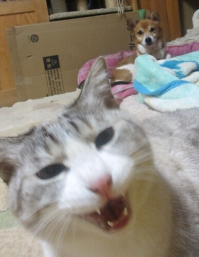 5.JPG