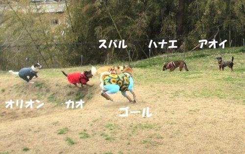 5.JPG