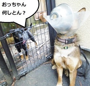 5.JPG