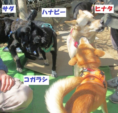 5.JPG