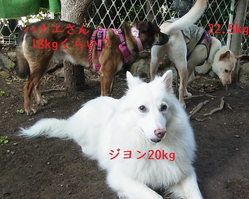 5.21-08.jpg