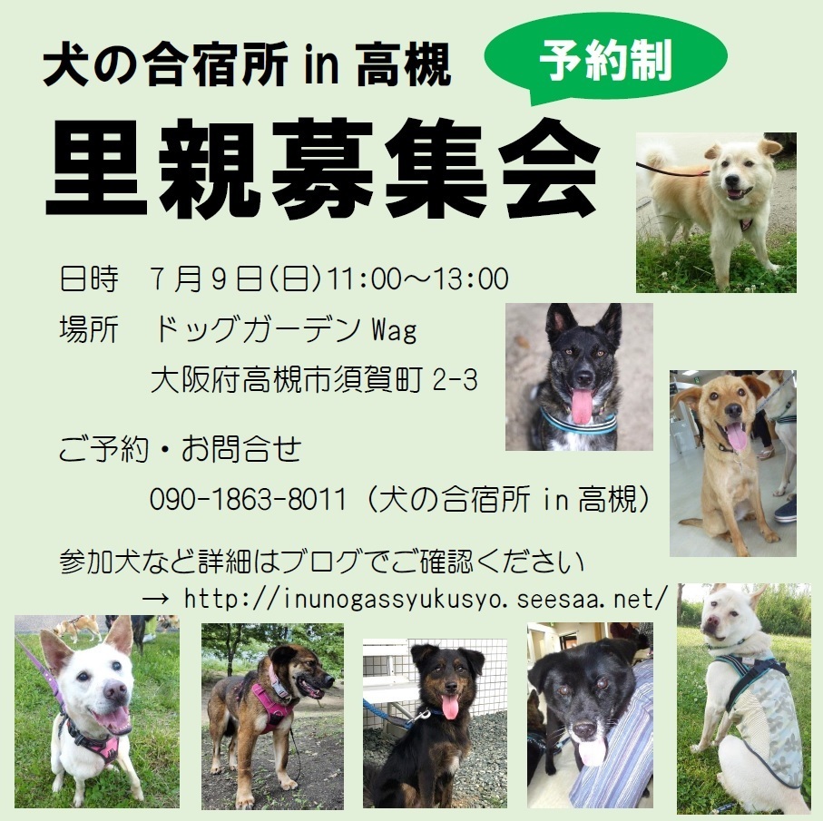 7月9日(日)】wagさんでの里親募集会のお知らせ: 犬の合宿所 in 高槻