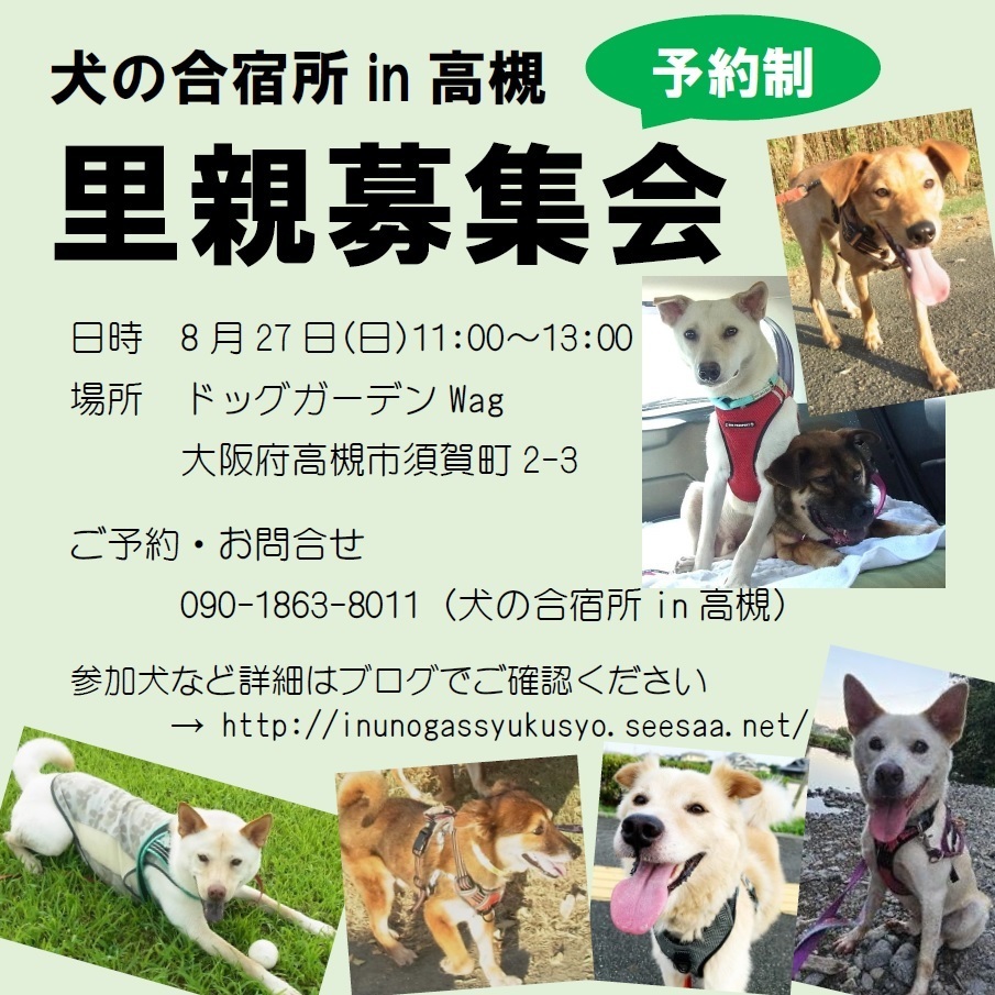 8月27日(日)】wagさんでの里親募集会のお知らせ: 犬の合宿所 in 高槻