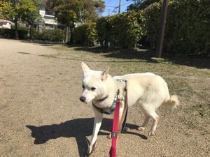 B40763CC-A7A3-43A5-BA5F-9C65AA5CDF10.jpeg