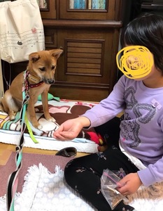 C10B8A8B-F69B-4228-85F7-A5E848C9678C.jpeg