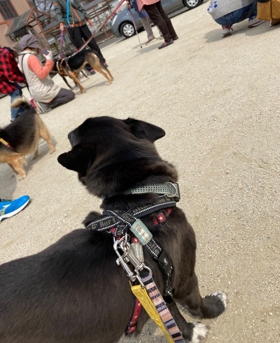 C2525652-BC1F-4F6D-BA12-2D0D08505E29.jpeg