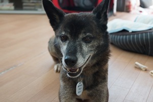 DSC01606 - コピー.JPG