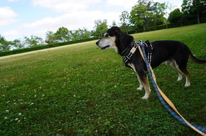 DSC06698.JPG