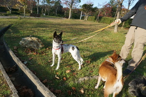 DSC08049.JPG