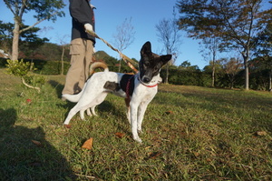 DSC08056.JPG