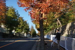 DSC08063.JPG
