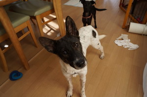 DSC08483.JPG