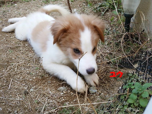 DSC_1907.jpg