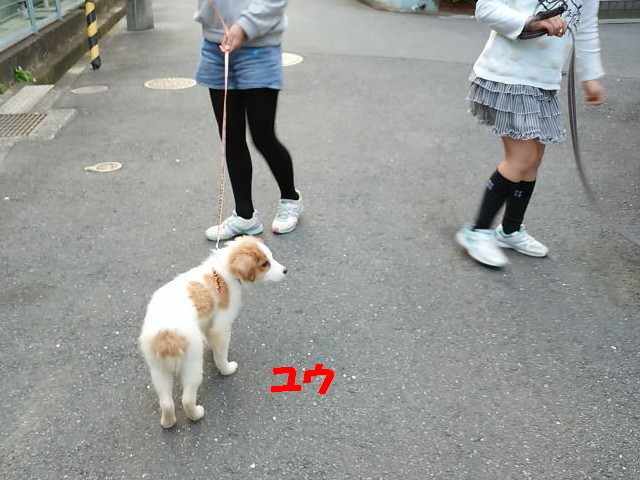 DSC_2200.jpg