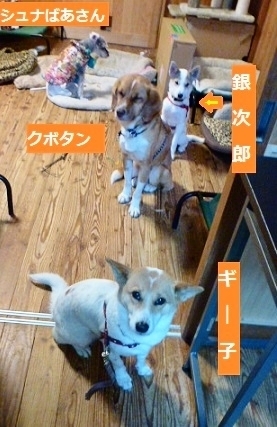 ごはん前_NEW.jpg