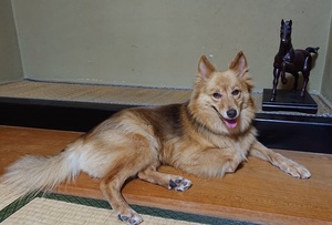 アランDSC_0462.JPG