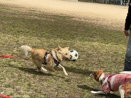 スバル３image5.jpeg