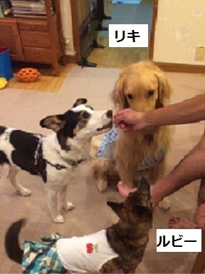 ホームステイ (2).JPG