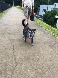 散歩.jpg